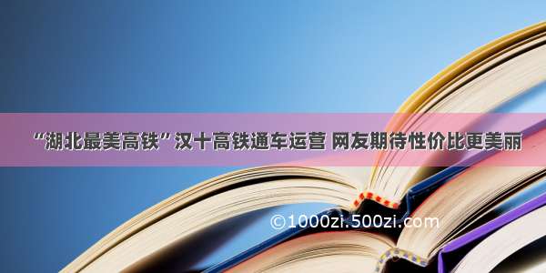 “湖北最美高铁”汉十高铁通车运营 网友期待性价比更美丽