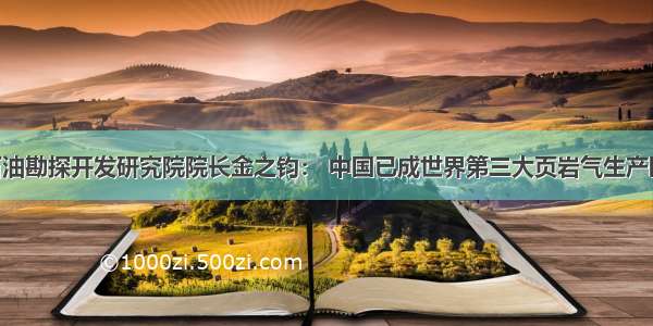 中国石化石油勘探开发研究院院长金之钧： 中国已成世界第三大页岩气生产国 但页岩油