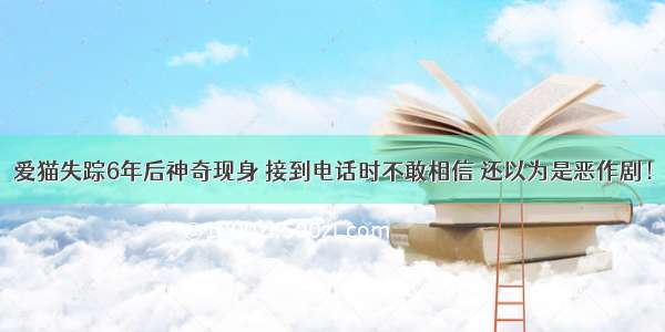 爱猫失踪6年后神奇现身 接到电话时不敢相信 还以为是恶作剧！