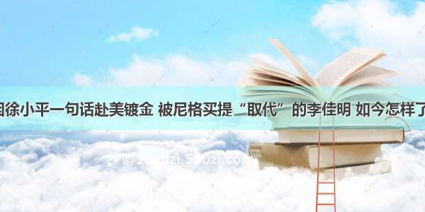 因徐小平一句话赴美镀金 被尼格买提“取代”的李佳明 如今怎样了？