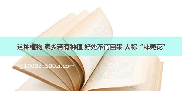 这种植物 家乡若有种植 好处不请自来 人称“蚌壳花”