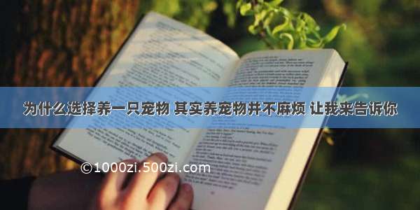 为什么选择养一只宠物 其实养宠物并不麻烦 让我来告诉你