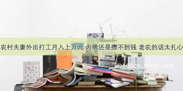 农村夫妻外出打工月入上万元 为啥还是攒不到钱 老农的话太扎心