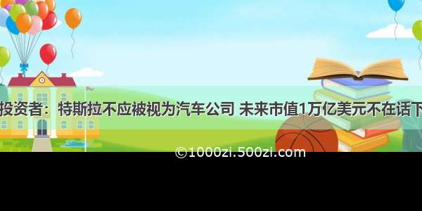 投资者：特斯拉不应被视为汽车公司 未来市值1万亿美元不在话下