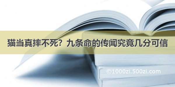 猫当真摔不死？九条命的传闻究竟几分可信