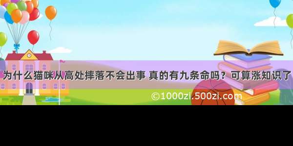 为什么猫咪从高处摔落不会出事 真的有九条命吗？可算涨知识了