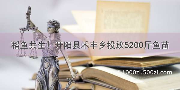 稻鱼共生！开阳县禾丰乡投放5200斤鱼苗