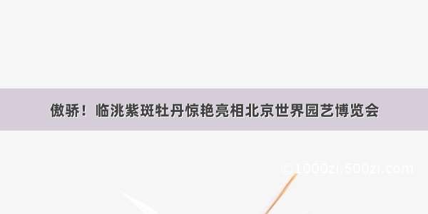 傲骄！临洮紫斑牡丹惊艳亮相北京世界园艺博览会