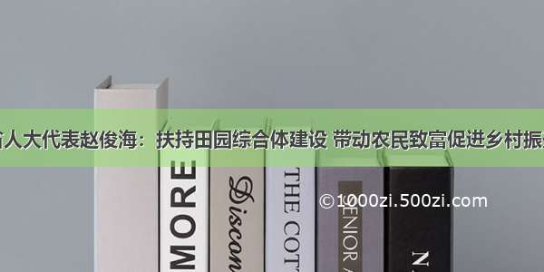 省人大代表赵俊海：扶持田园综合体建设 带动农民致富促进乡村振兴