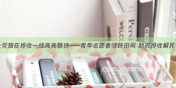 让党旗在抢收一线高高飘扬——青年志愿者活跃田间 助农抢收解民忧