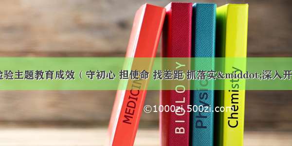 用解决问题实效检验主题教育成效（守初心 担使命 找差距 抓落实·深入开展“不忘初