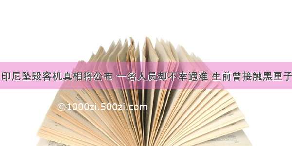 印尼坠毁客机真相将公布 一名人员却不幸遇难 生前曾接触黑匣子