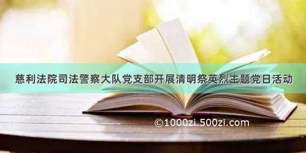 慈利法院司法警察大队党支部开展清明祭英烈主题党日活动