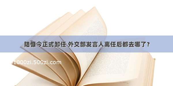 陆慷今正式卸任 外交部发言人离任后都去哪了？