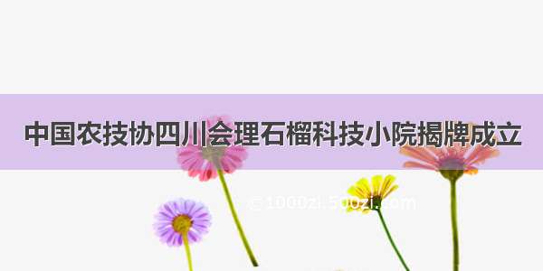 中国农技协四川会理石榴科技小院揭牌成立