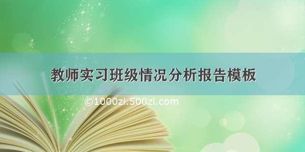 教师实习班级情况分析报告模板