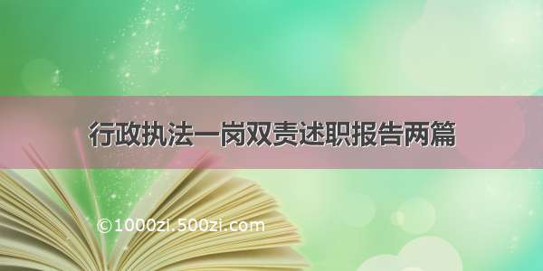 行政执法一岗双责述职报告两篇