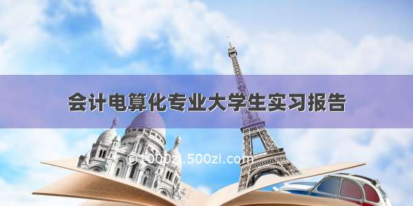 会计电算化专业大学生实习报告