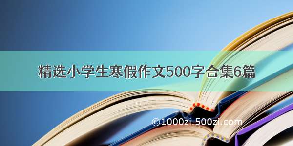 精选小学生寒假作文500字合集6篇