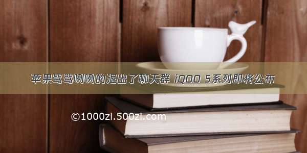 苹果骂骂咧咧的退出了聊天群 iQOO 5系列即将公布