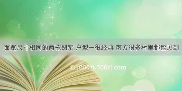 面宽尺寸相同的两栋别墅 户型一很经典 南方很多村里都能见到