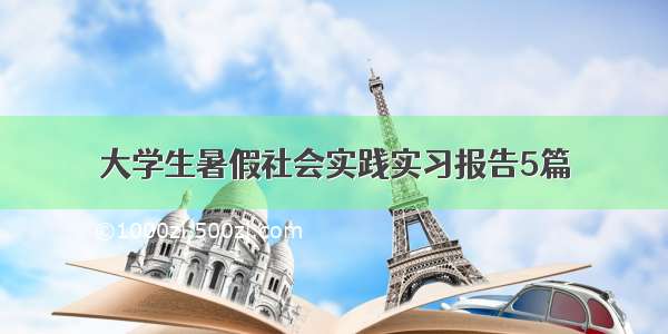 大学生暑假社会实践实习报告5篇