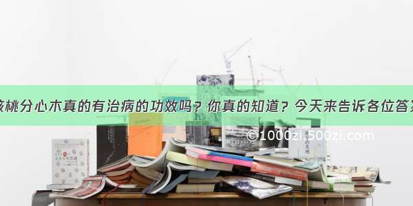 核桃分心木真的有治病的功效吗？你真的知道？今天来告诉各位答案