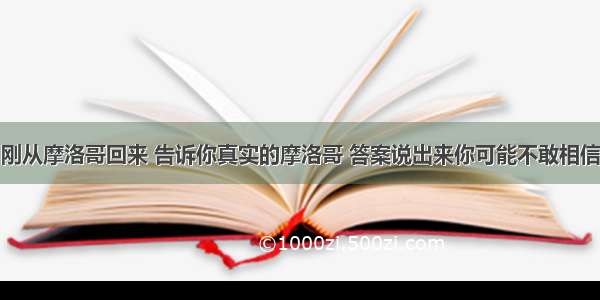 刚从摩洛哥回来 告诉你真实的摩洛哥 答案说出来你可能不敢相信