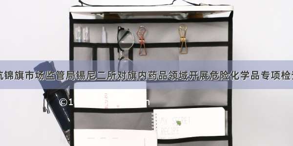 杭锦旗市场监管局锡尼二所对旗内药品领域开展危险化学品专项检查