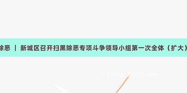 扫黑除恶 ｜ 新城区召开扫黑除恶专项斗争领导小组第一次全体（扩大）会议