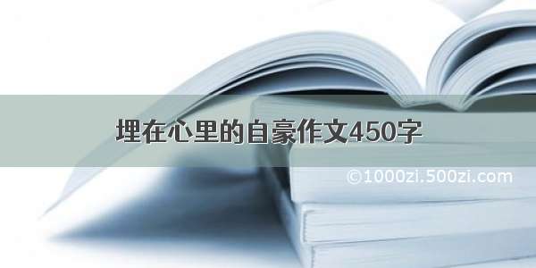 埋在心里的自豪作文450字