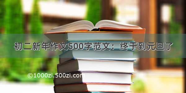 初二新年作文500字范文：终于到元旦了