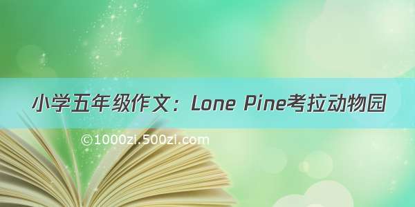 小学五年级作文：Lone Pine考拉动物园