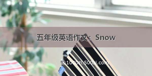 五年级英语作文：Snow