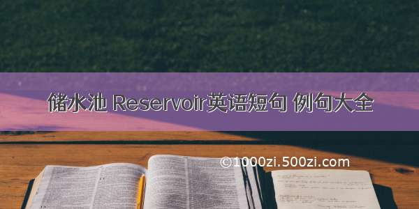 储水池 Reservoir英语短句 例句大全