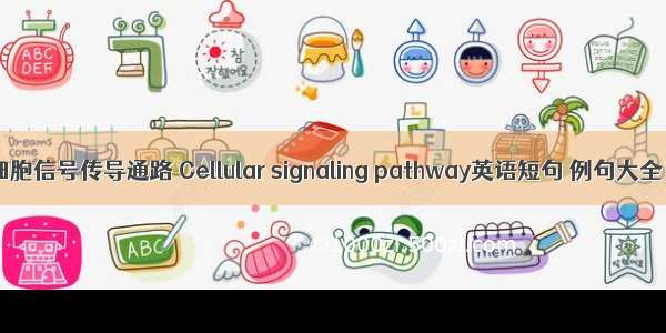 细胞信号传导通路 Cellular signaling pathway英语短句 例句大全