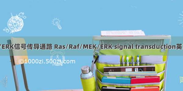 Ras/Raf/MEK/ERK信号传导通路 Ras/Raf/MEK/ERK signal transduction英语短句 例句大全