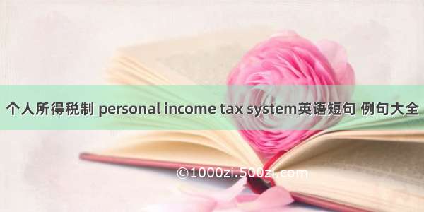 个人所得税制 personal income tax system英语短句 例句大全