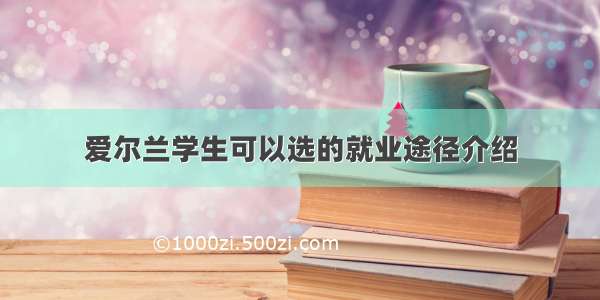 爱尔兰学生可以选的就业途径介绍