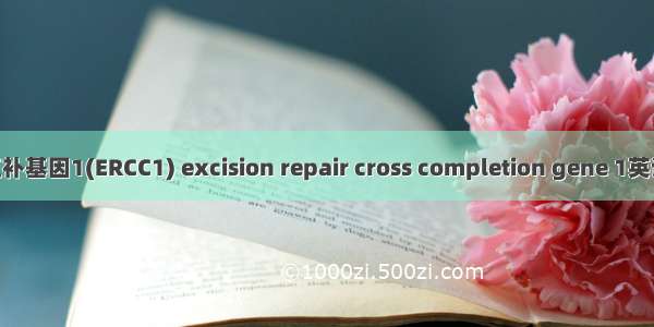 切除修复交叉互补基因1(ERCC1) excision repair cross completion gene 1英语短句 例句大全