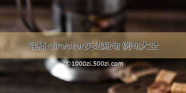 导播 director英语短句 例句大全