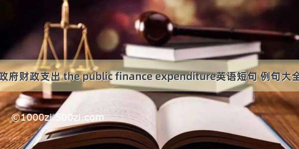 政府财政支出 the public finance expenditure英语短句 例句大全