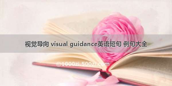 视觉导向 visual guidance英语短句 例句大全