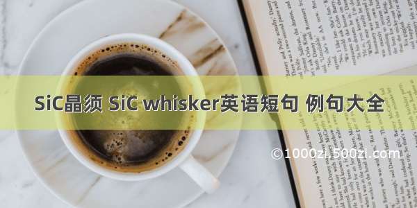 SiC晶须 SiC whisker英语短句 例句大全