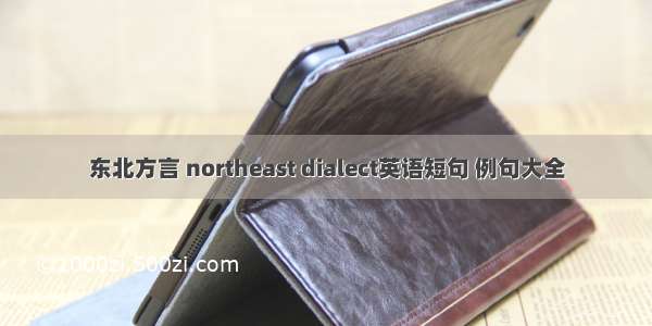 东北方言 northeast dialect英语短句 例句大全