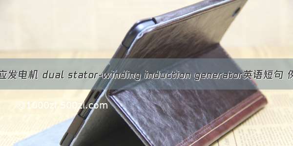 双绕组感应发电机 dual stator-winding induction generator英语短句 例句大全