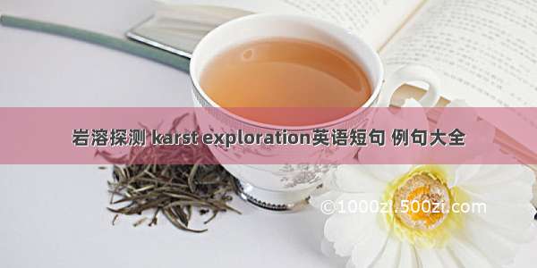 岩溶探测 karst exploration英语短句 例句大全