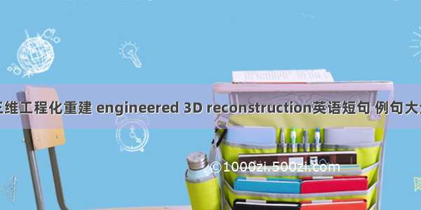 三维工程化重建 engineered 3D reconstruction英语短句 例句大全