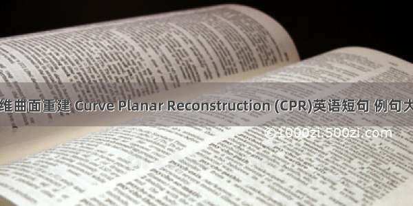 三维曲面重建 Curve Planar Reconstruction (CPR)英语短句 例句大全