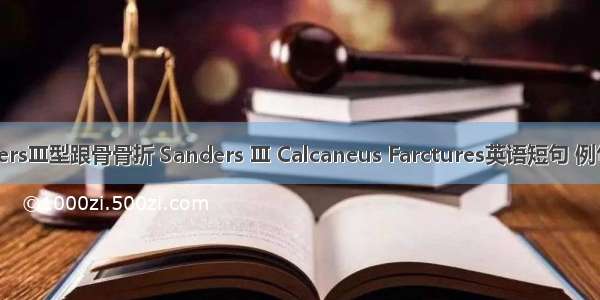 SandersⅢ型跟骨骨折 Sanders Ⅲ Calcaneus Farctures英语短句 例句大全